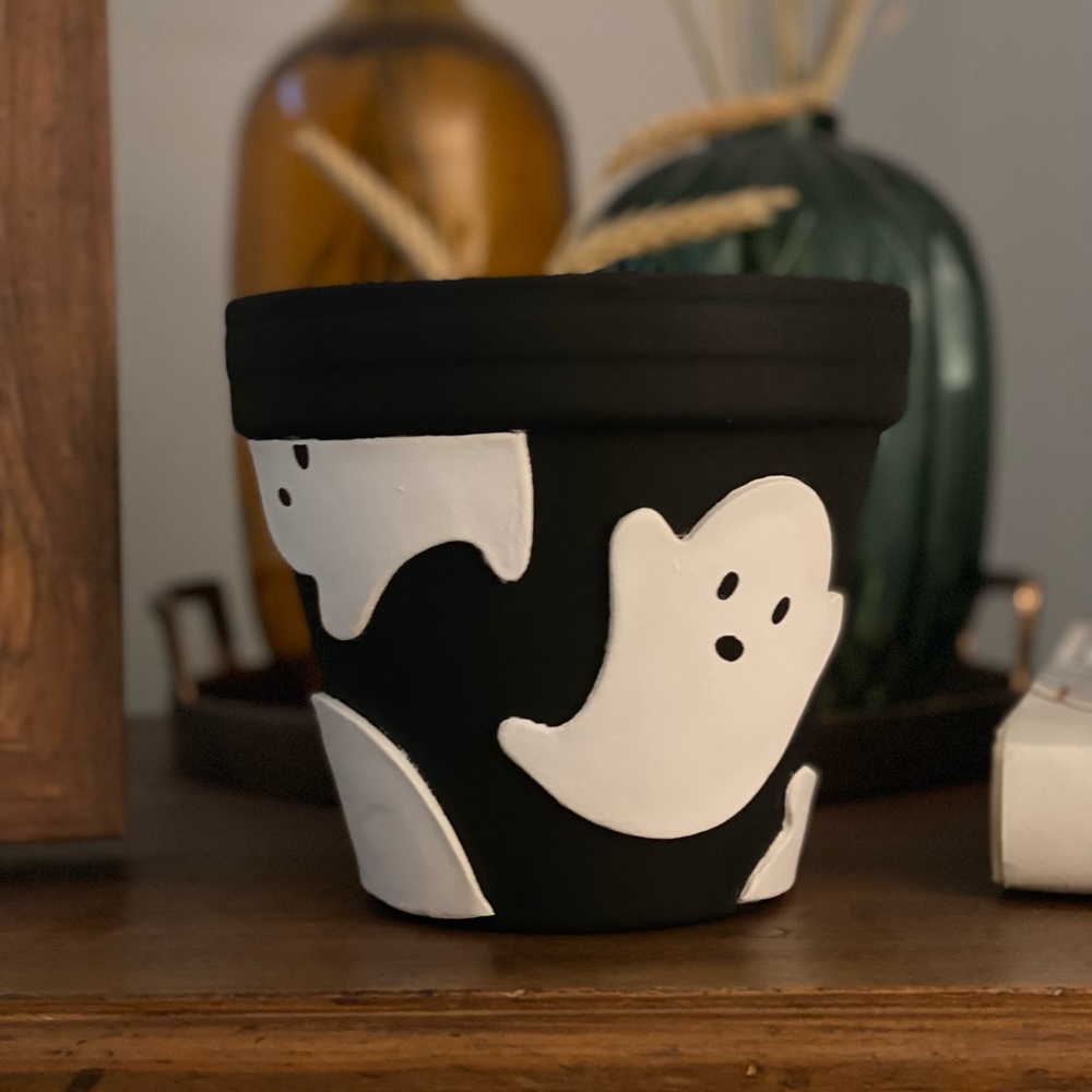 Ghost Plant Pot